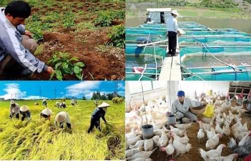 Thúc đẩy phát triển kinh tế tập thể, kinh tế hợp tác xã
